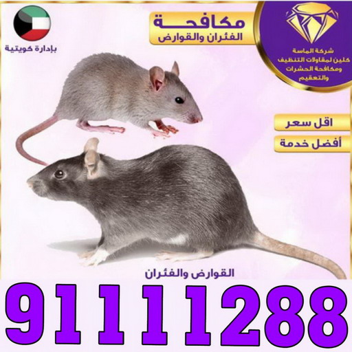 مكافحة حشرات - الماسة 📞 91111288 - شركة مكافحة حشرات - مكافحة حشرات وقوارض - مكافحة بق - رش صراصير - مكافحة نمل - شركة حشرات - مكافحة فئران
