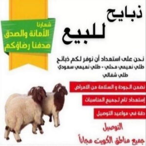 1676441160368 قصاب - قصاب متنقل - بالكويت 60777317 - ذبايح - ذبائح الكويت - غنم للبيع - اغنام للبيع - ذبايح للبيع - غنم - سوق غنم - اغنام عربى للبيع - جزار - ذبائح