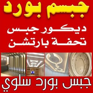 جبس بورد سلوي