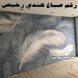 رقم صباغ هندي رخيص