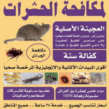 مكافحة قوارض - مكافحة حشرات وقوارض - الاتصال 99114313 - شركة حشرات - مكافحة حشرات - شركة مكافحة حشرات - مكافحة بق - مكافحة حشرات الجهراء - مكافحة حشرات الكويت