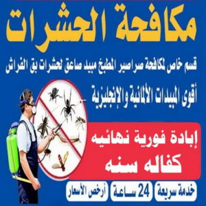 مكافحة قوارض - مكافحة حشرات وقوارض - الاتصال 99114313 - شركة حشرات - مكافحة حشرات - شركة مكافحة حشرات - مكافحة بق - مكافحة حشرات الجهراء - مكافحة حشرات الكويت 4 مكافحة الحشرات
