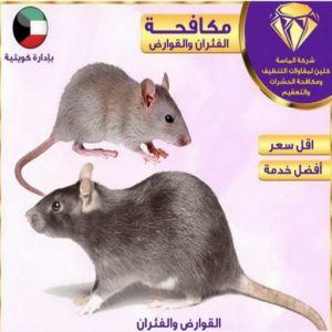 مكافحة قوارض - مكافحة حشرات وقوارض - الاتصال 99114313 - شركة حشرات - مكافحة حشرات - شركة مكافحة حشرات - مكافحة بق - مكافحة حشرات الجهراء - مكافحة حشرات الكويت 7 مكافحة حشرات بالكويت2024 مكافحة قوارض - مكافحة حشرات وقوارض - الاتصال 99114313 - شركة حشرات - مكافحة حشرات - شركة مكافحة حشرات - مكافحة بق - مكافحة حشرات الجهراء - مكافحة حشرات الكويت