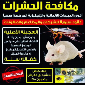 مكافحة قوارض - مكافحة حشرات وقوارض - المحترفون 99114313 - شركة حشرات - مكافحة حشرات - شركة مكافحة حشرات - مكافحة بق - مكافحة حشرات الكويت