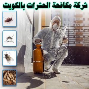 شركة مكافحة حشرات رخيصة مكافحة قوارض - مكافحة حشرات وقوارض - الاتصال 99114313 - شركة حشرات - مكافحة حشرات - شركة مكافحة حشرات - مكافحة بق - مكافحة حشرات الجهراء - مكافحة حشرات الكويت